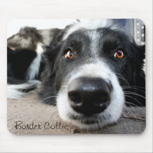 Mousepad Tapete do rato de border collie