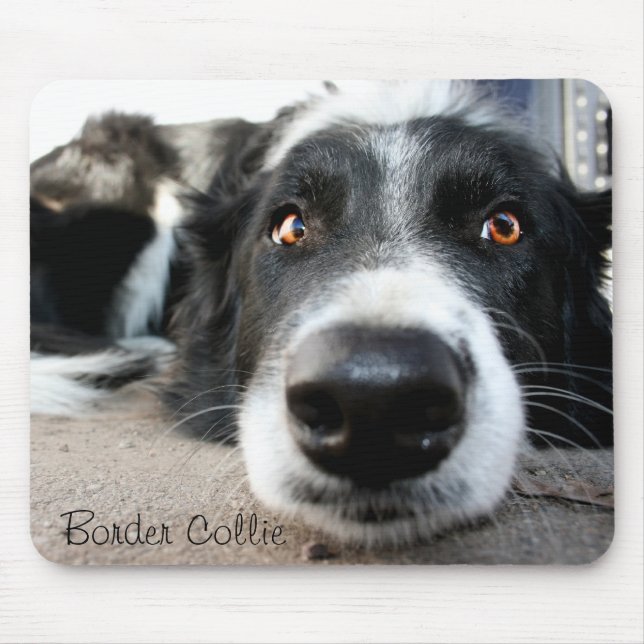 Mousepad Tapete do rato de border collie (Frente)