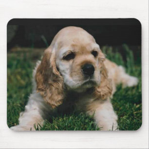 Mousepad tapete do rato de cocker spaniel