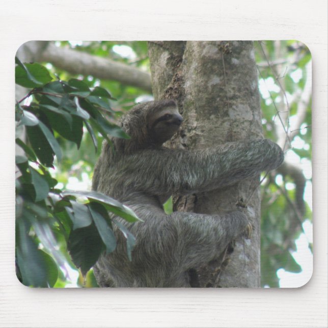 Mousepad Tapete do rato de escalada da preguiça (Frente)