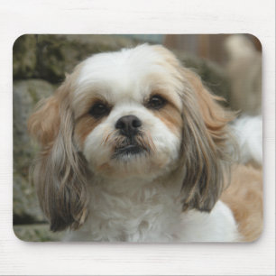 Mousepad Tapete do rato de Furface