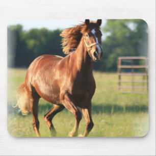 Mousepad Tapete do rato de galope do cavalo da castanha