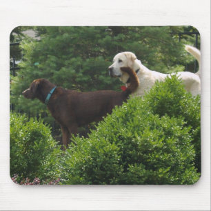Mousepad Tapete do rato de Labrador