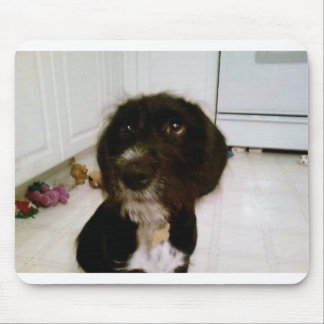 Mousepad Tapete do rato de Lilypad