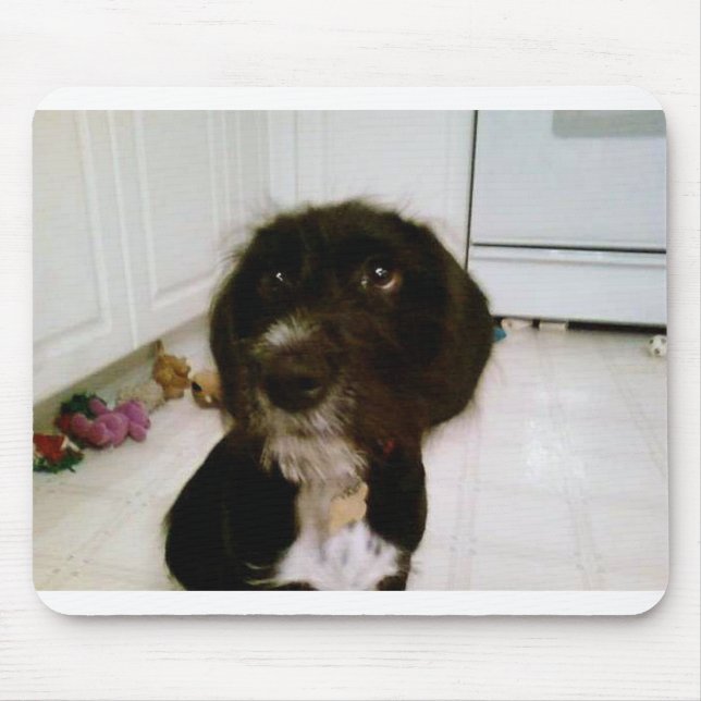 Mousepad Tapete do rato de Lilypad (Frente)