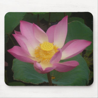 Mousepad Tapete do rato de Lotus