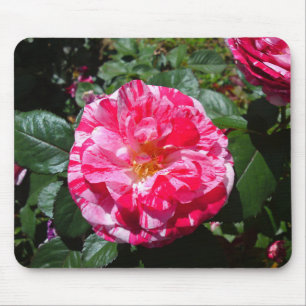 Mousepad Tapete do rato de mármore branco e vermelho da