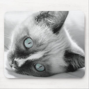Mousepad Tapete do rato de olhos azuis do gatinho
