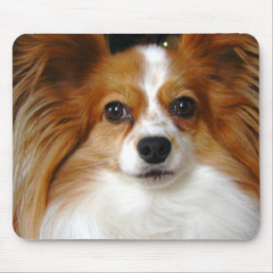 Mousepad Tapete do rato de Papillon