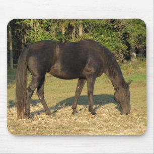 Mousepad Tapete do rato de passeio da égua do cavalo de