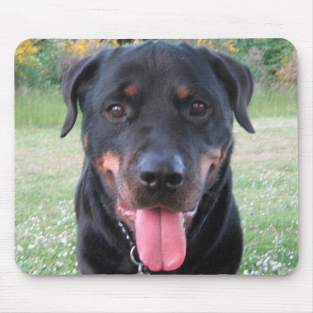 Mousepad Tapete do rato de Rottie (Frente)