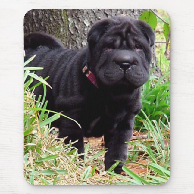 Mousepad Tapete do rato de Shar-pei (Frente)