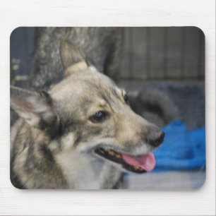 Mousepad Tapete do rato de Vallhund do sueco
