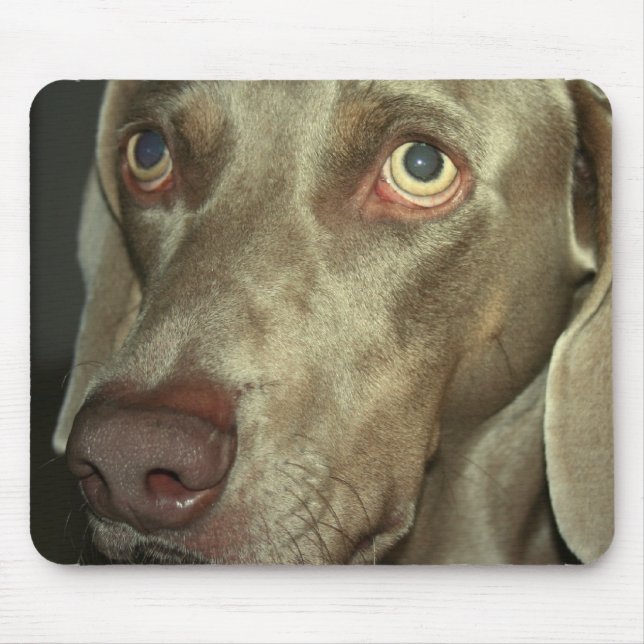 Mousepad Tapete do rato de Weimeraner do amor (Frente)