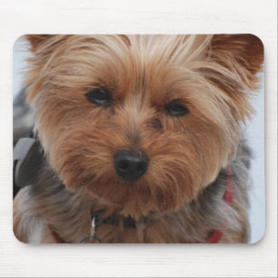 Mousepad Tapete do rato de Yorkie