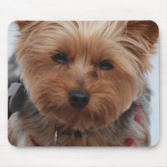 Mousepad Tapete do rato de Yorkie (Frente)