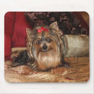 Mousepad Tapete do rato de Yorkie