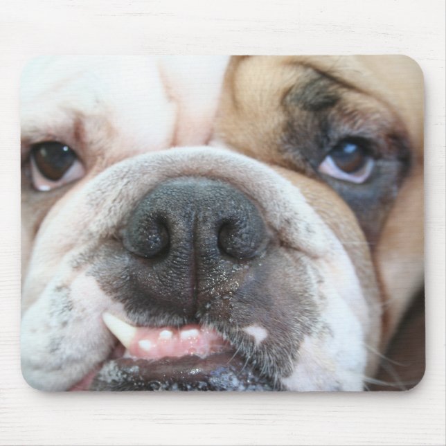 Mousepad Tapete do rato do buldogue (Frente)