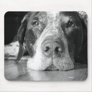 Mousepad Tapete do rato do cão