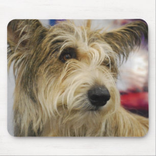 Mousepad Tapete do rato do cão de Berger Picard