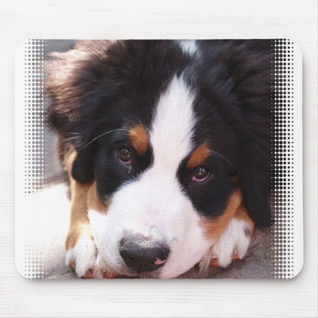 Mousepad Tapete do rato do cão de montanha de Bernese (Frente)