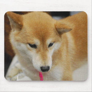 Mousepad Tapete do rato do cão de Shiba Inu