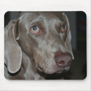 Mousepad Tapete do rato do cão de Weimaraner