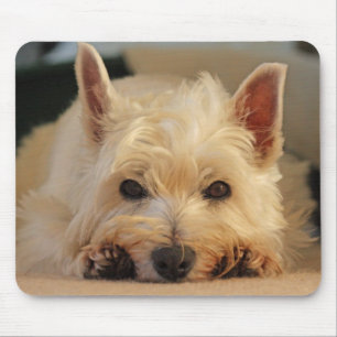 Mousepad Tapete do rato do cão de Westie/esteira bonitos d