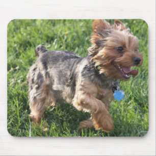 Mousepad Tapete do rato do cão de York Terrier