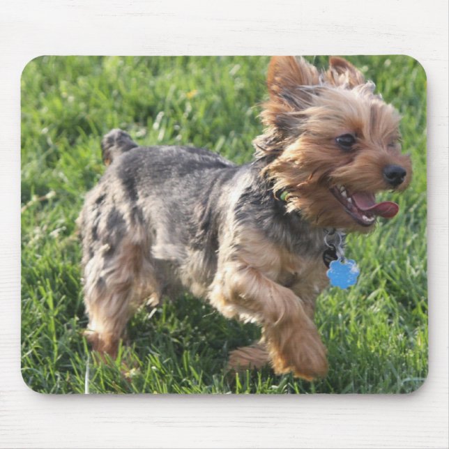Mousepad Tapete do rato do cão de York Terrier (Frente)