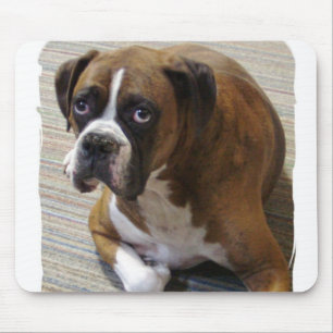 Mousepad Tapete do rato do cão do pugilista