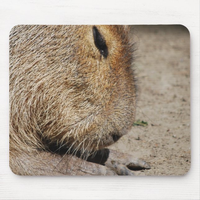 Mousepad Tapete do rato do Capybara (Frente)