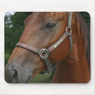 Mousepad Tapete do rato do cavalo da castanha