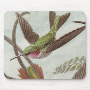 Mousepad Tapete do rato do colibri de Ernst Haeckel