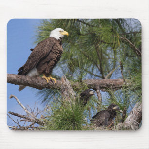 Mousepad Tapete do rato do computador E10 & E11