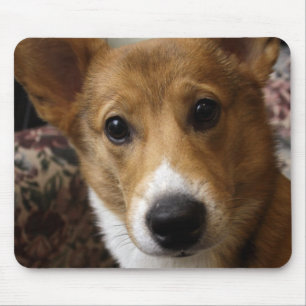 Mousepad Tapete do rato do Corgi do Pembroke