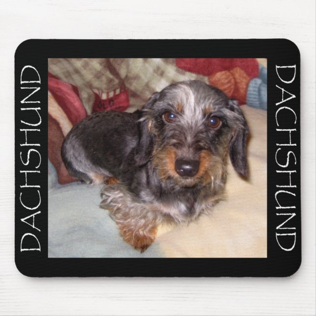 Mousepad Tapete do rato do Dachshund do cabelo do fio (Frente)