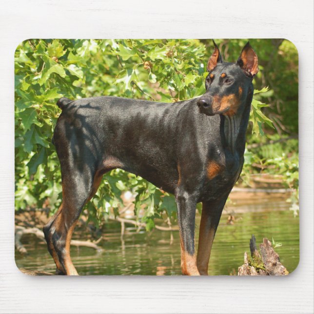 Mousepad Tapete do rato do Doberman (Frente)