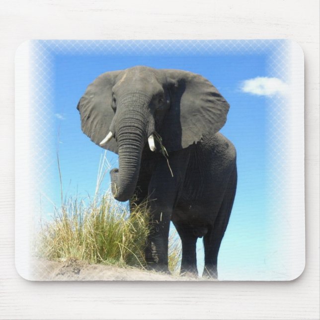 Mousepad Tapete do rato do elefante africano (Frente)