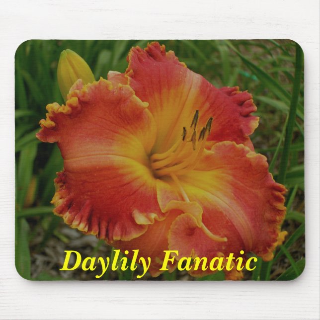 Mousepad Tapete do rato do fanático do hemerocallis (Frente)