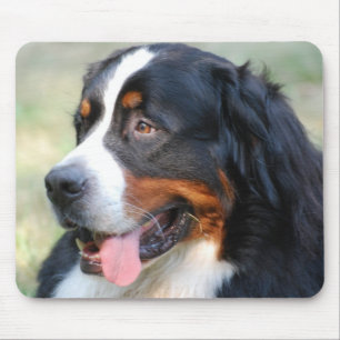 Mousepad Tapete do rato do filhote de cachorro da montanha