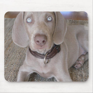 Mousepad Tapete do rato do filhote de cachorro de