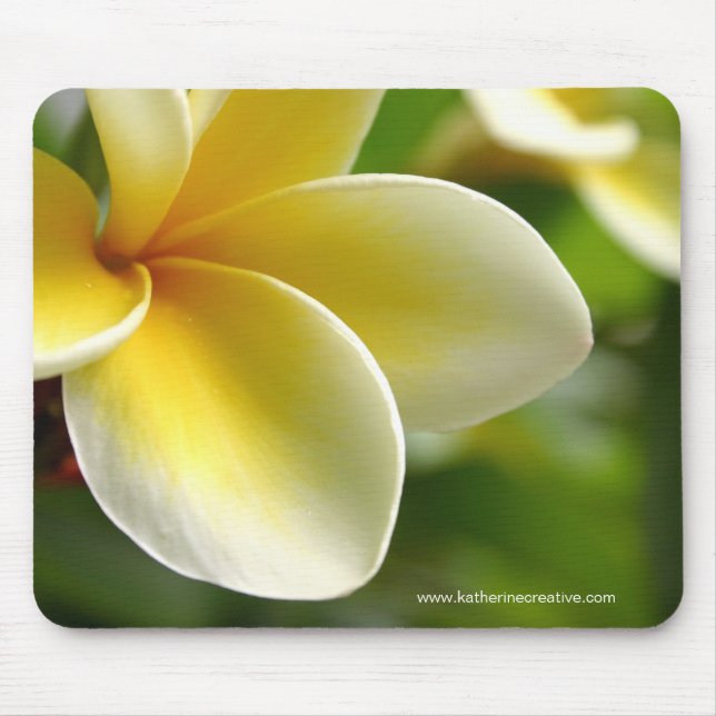 Mousepad tapete do rato do frangipani (Frente)