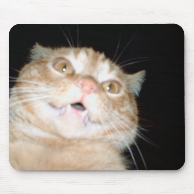 Mousepad Tapete do rato do gatinho (Frente)