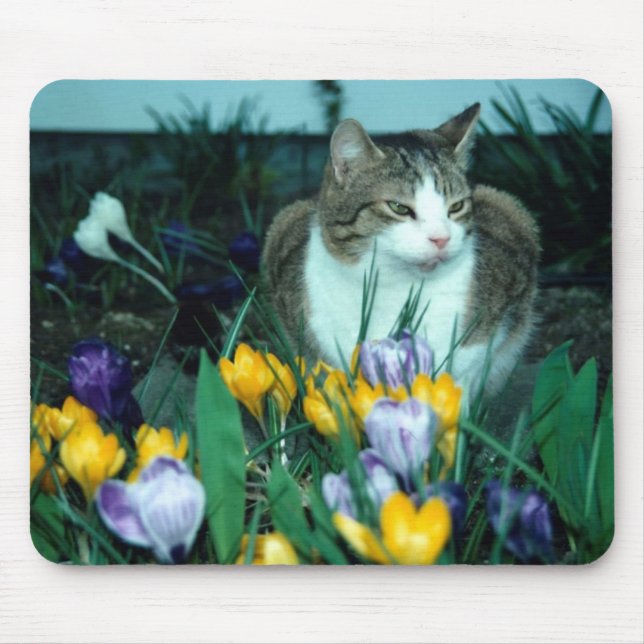 Mousepad Tapete do rato do gato (Frente)