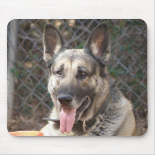 Mousepad Tapete do rato do german shepherd