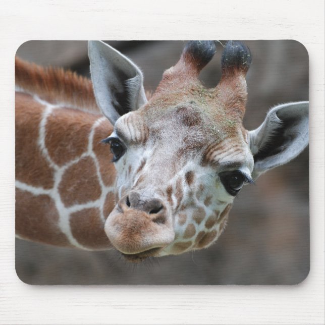 Mousepad Tapete do rato do girafa (Frente)
