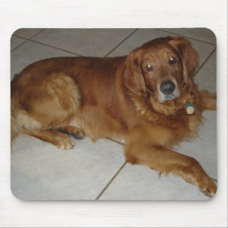Mousepad Tapete do rato do golden retriever