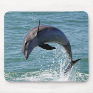 Mousepad Tapete do rato do golfinho