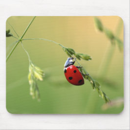 Mousepad Tapete do rato do joaninha
